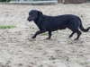1756img_6706