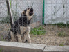1756img_6707