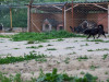1759img_5641
