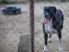 1759img_6710