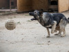 1808img_6738