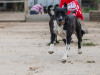 1819img_6807