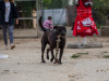 1830img_5707