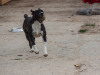 1831img_5711