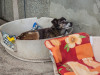 1844img_5725