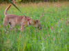 2012img_5773