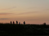 2041img_5524a