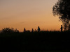 2042img_7057