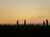 2047img_5536a