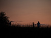 2104img_7518