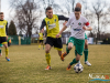 siarka_0017