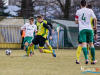 siarka_0019