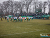 siarka_0071