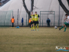 siarka_0141