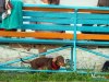 IMG_0791
