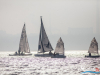 1333img_4014_12_19_2015