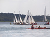 kopia0050