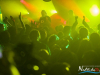 reggae0066