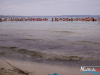 1307img_2767_12_13_2015