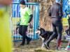 1309IMG_7974