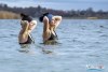 1030IMG_0033