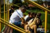 1154IMG_3660