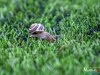 IMG_9295