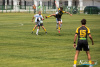 1135IMG_1862_wynik
