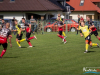 1231_img_2401_wynik