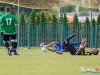 1232img_4301_09_25_2016