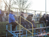 1531_img_5431_wynik