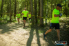 1329IMG_7890_wynik