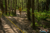 1325IMG_3028_wynik