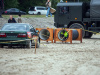 1015IMG_3479_wynik