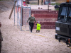 1024IMG_3521_wynik