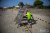 1000IMG_9529_wynik