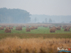 rykowisko-20130006