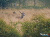 rykowisko-20130040