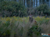 0558_img_9923