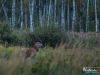 0559_img_9988