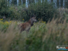 0559_img_9993