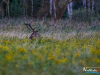 0607_img_0190