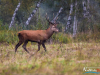 0937_img_0934