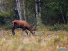 0938_img_0970