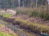 1059_img_1150