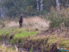 1059_img_1187