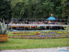 1619img_1240