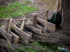 0956img_6009
