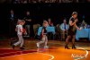 1816IMG_8774