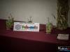 1929img_3462_wynik